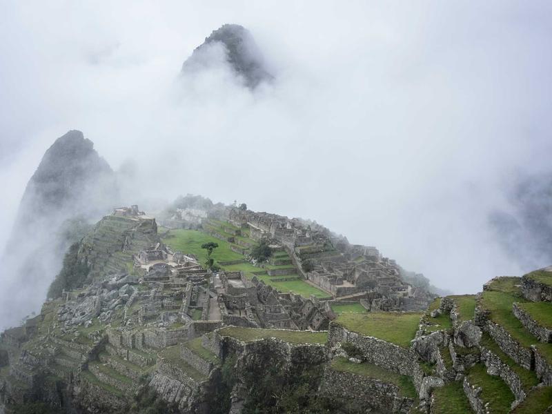 sudoku training mode screenshot 5