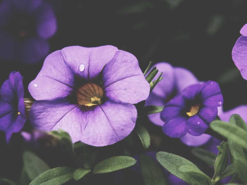 android screenshot 5